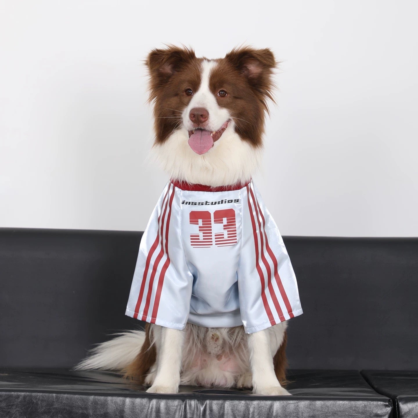 Large Dog Anti-Shedding
Reflective Sports Jersey