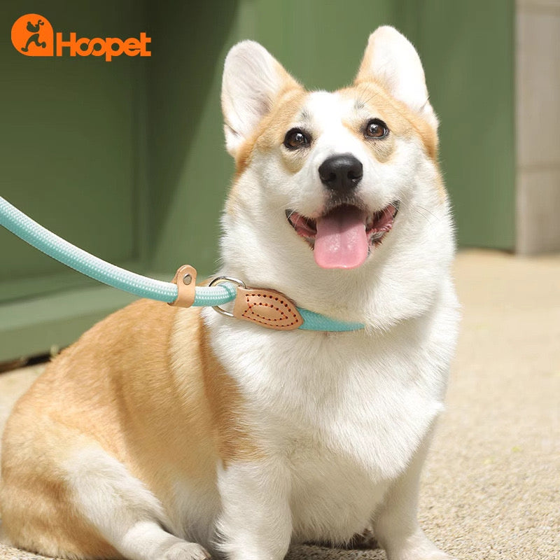 🐾Nylon Dog Leash - The Ultimate Walking Companion