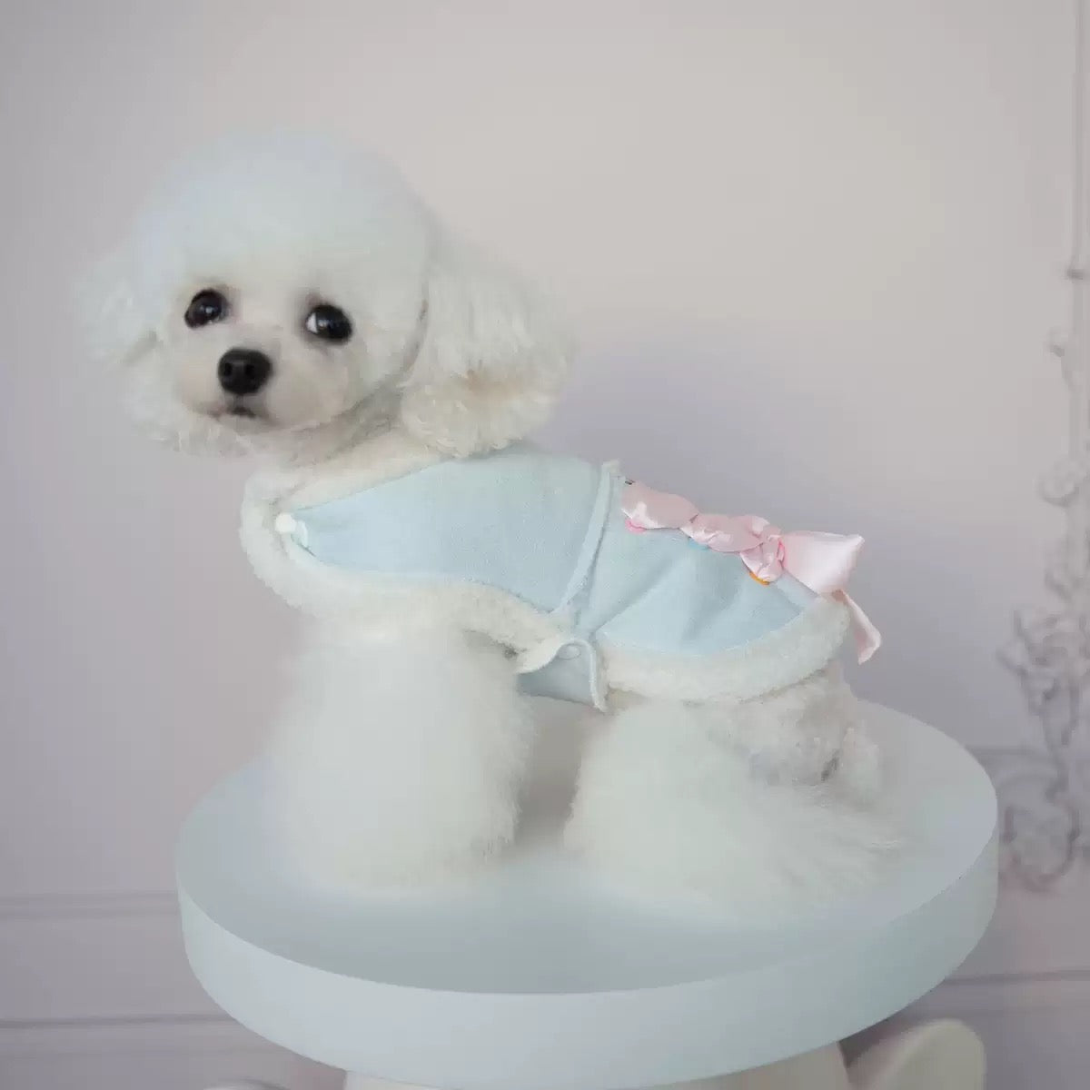 Lollipop Pet Vest - Autumn & Winter Must - Have