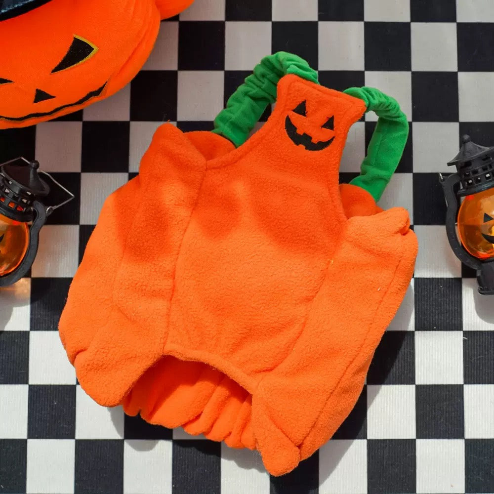 Spooky & Silly Dog
Halloween Outfit - Dress-Up Fun
