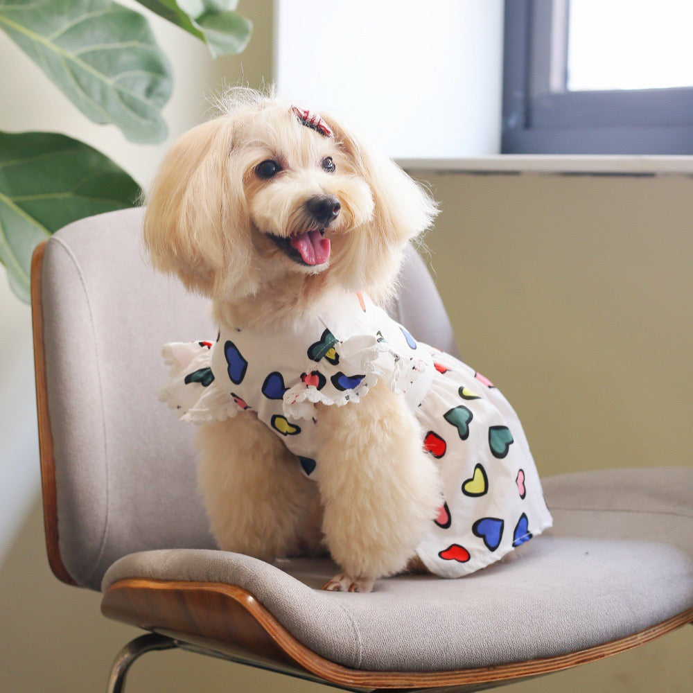 Colorful Heart Print Pet
Dress - For Cats & Dogs
