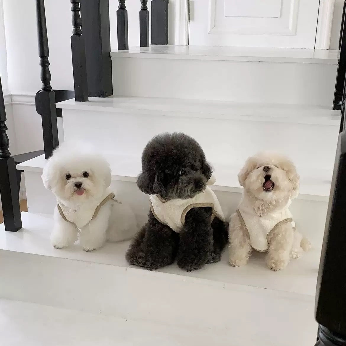 Warm Winter Cape for Small and Medium Dogs - Thickened Pet Cloak Shawl