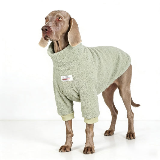 Cozy Fleece Turtleneck