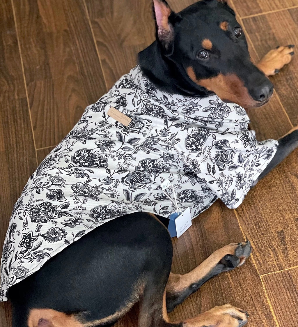 A corduroy shirt paired with a tie suits large dogs perfectly