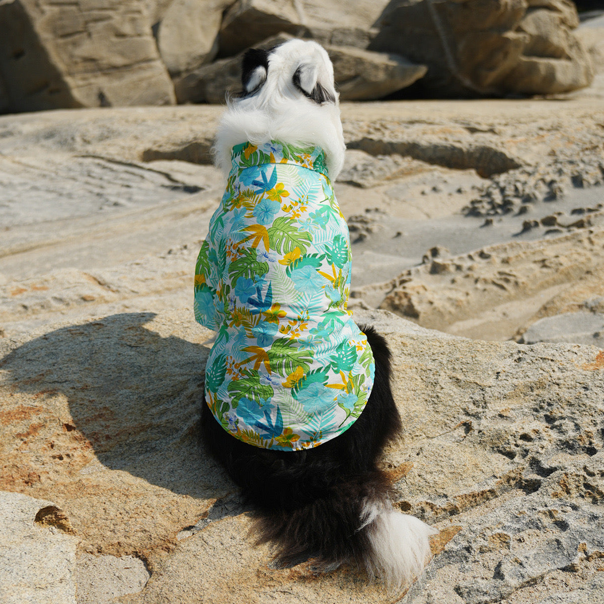 Hawaiian Style Dog
Shirt - Lightweight & Breathable for Medium to Large Dogs