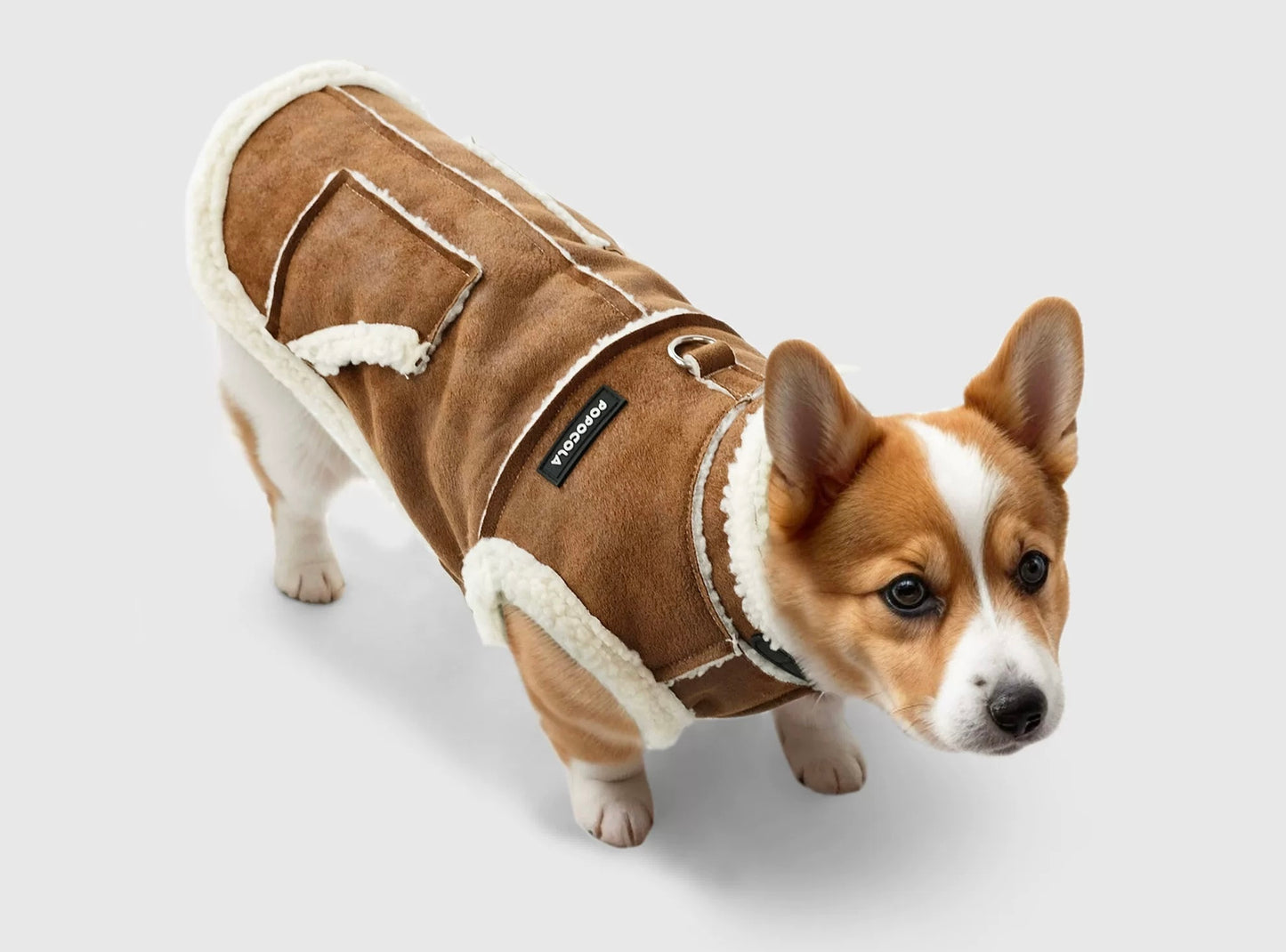Cozy Winter Dog
Clothes - Vest & Cotton Jacket for Small and Medium Pets
