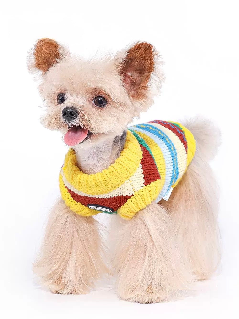 Rainbow Muffin Vest