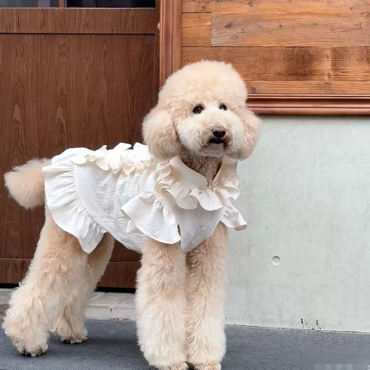 Cute Cake Skirt Dog Dress for Small and Medium Dogs