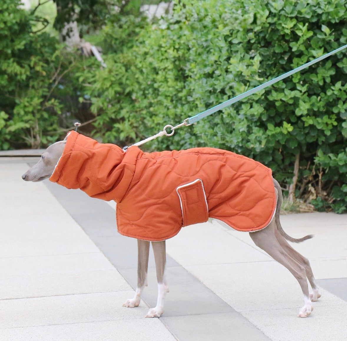 Bedlington & Whippet Winter Defender Jacket