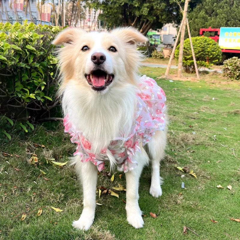 Floral Princess Dress for Medium & Large Dogs