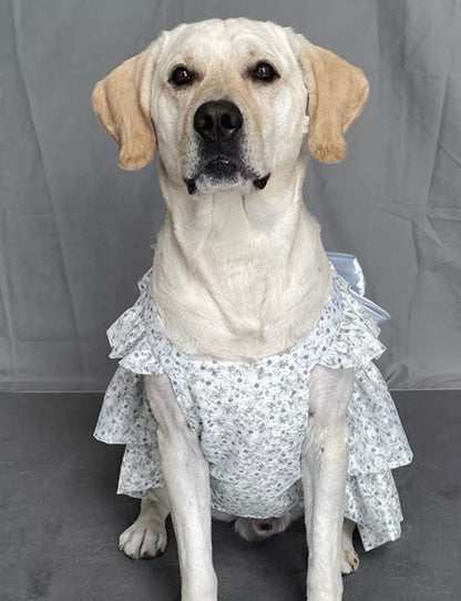Breathable Princess
Dress for Large Dogs - Featuring a Big Bow and Elegant Skirt Design
