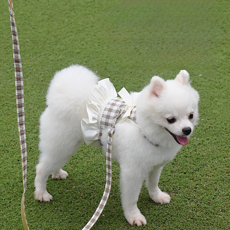 Paw & Bows Pet Herness Set