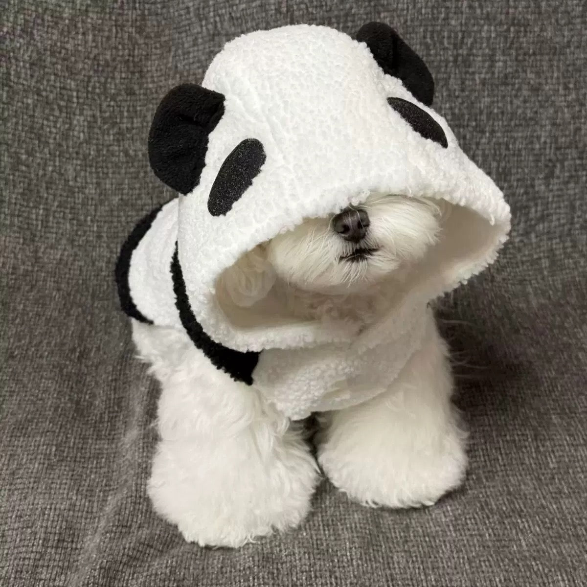 Cute Bear Hoodie for Small Dogs - Two-Legged Design, Perfect for Autumn and Winter