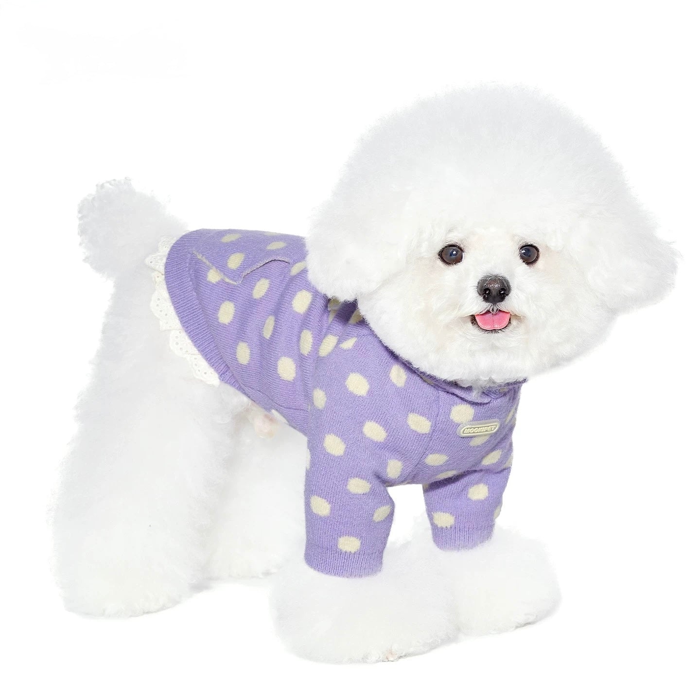 Fleece Dot Hoodie Sweater