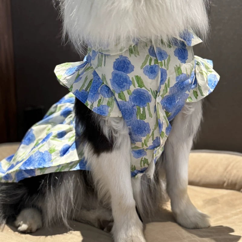 Lightweight floral dress suitable for large, medium, and small dogs