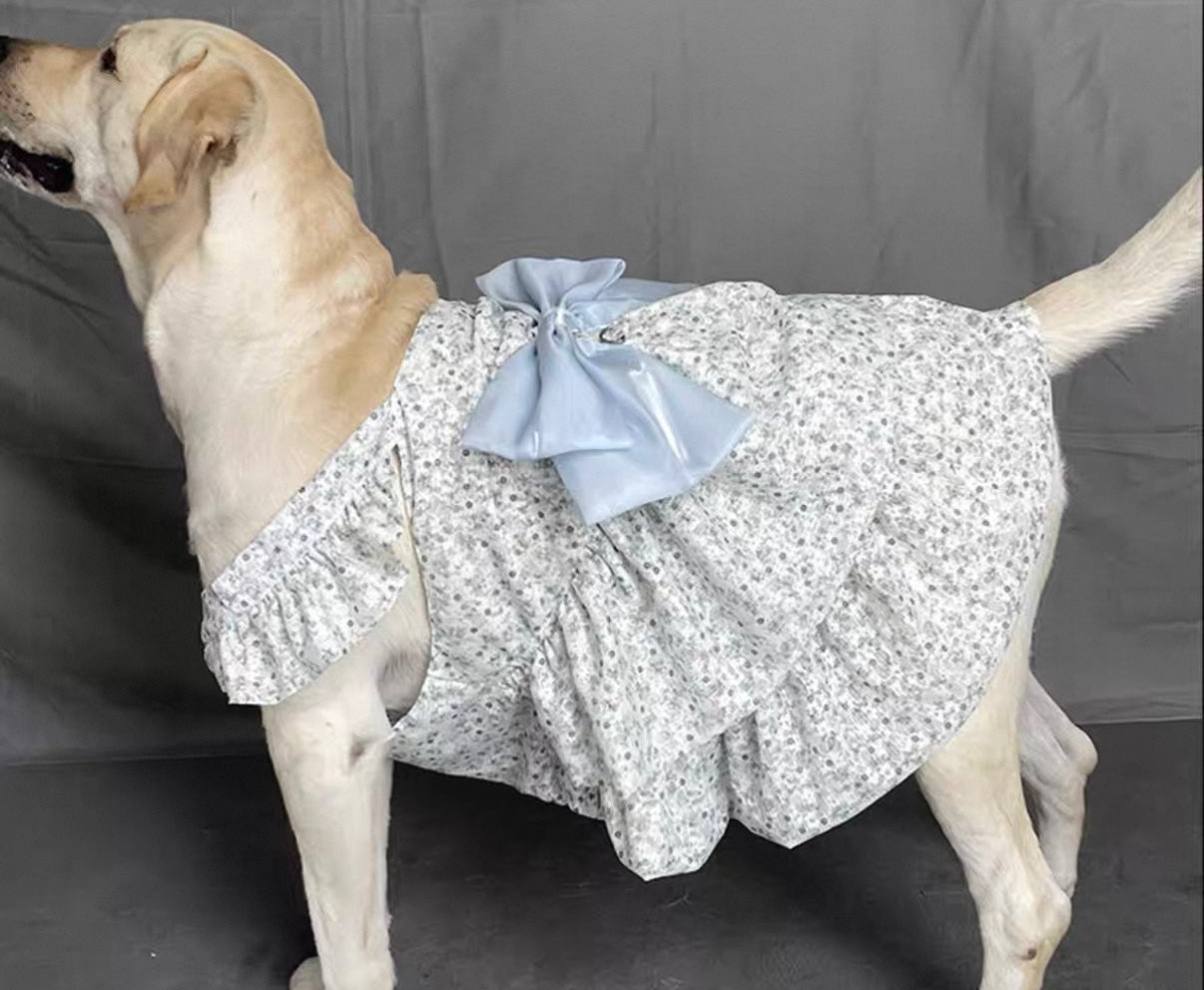 Breathable Princess
Dress for Large Dogs - Featuring a Big Bow and Elegant Skirt Design