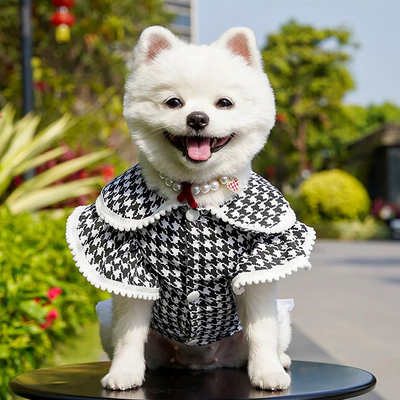 Leash-ready princess dog dress - couple look for small to large pups