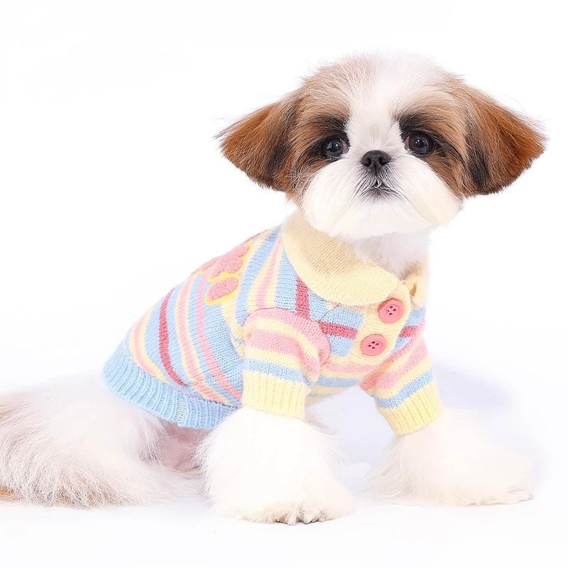 Macaron Stripe Sweater