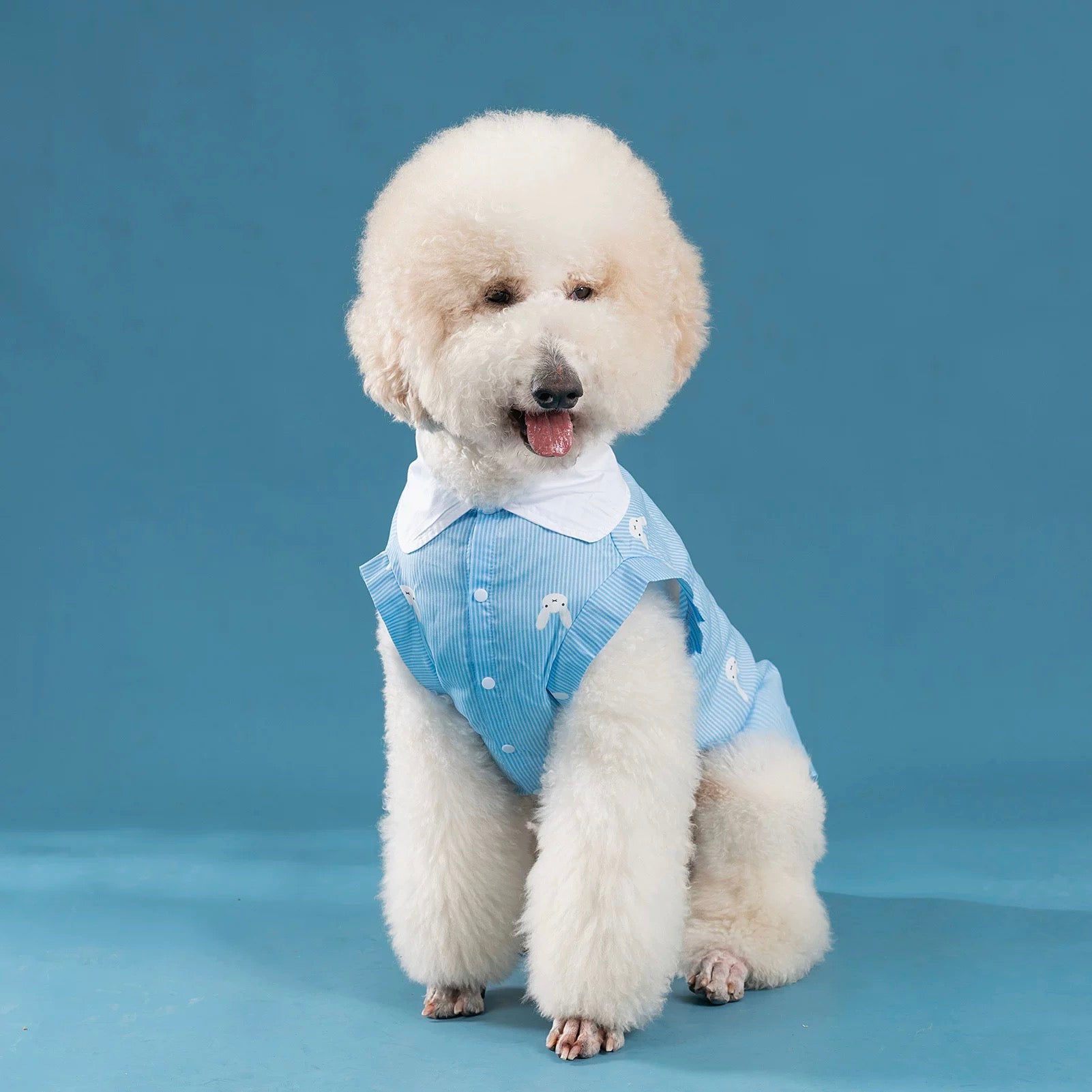 Cute Sleeveless Dog Shirt
- Lightweight & Breathable
Pet Clothing for Small, Medium, and Large Dogs