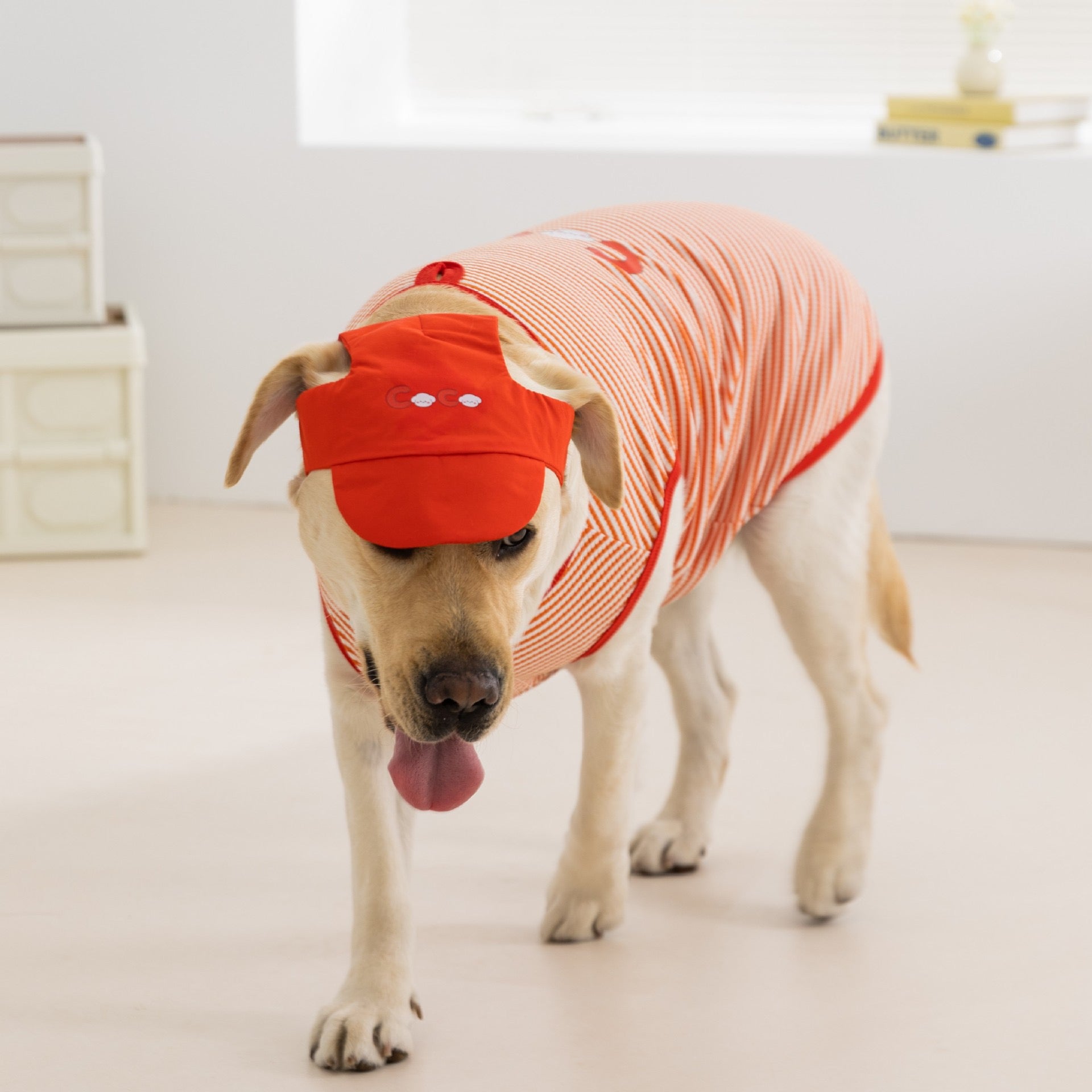 Lightweight Striped Sleeveless Hoodie for Large Dogs - Two-Leg Design with Bonus Hat