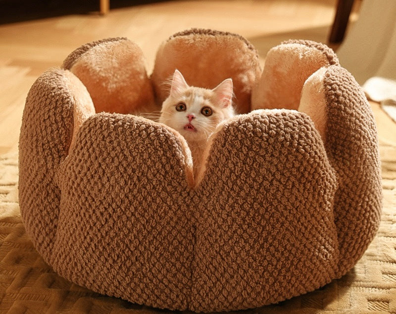 Blossom Pet Bed