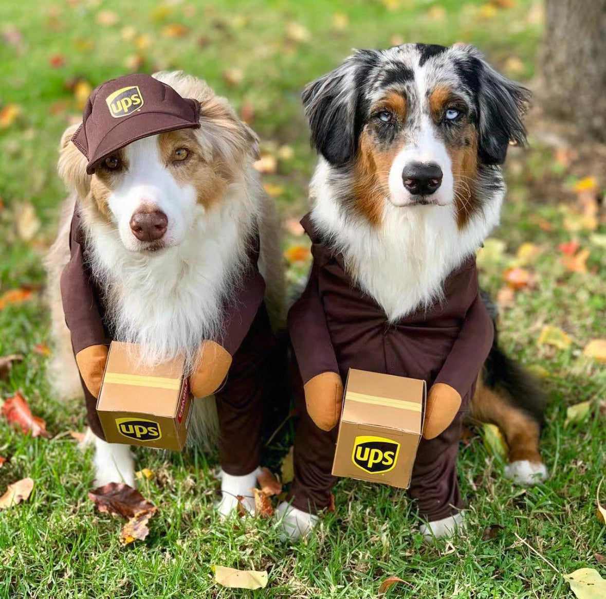 Doggy Delivery Messenger Set