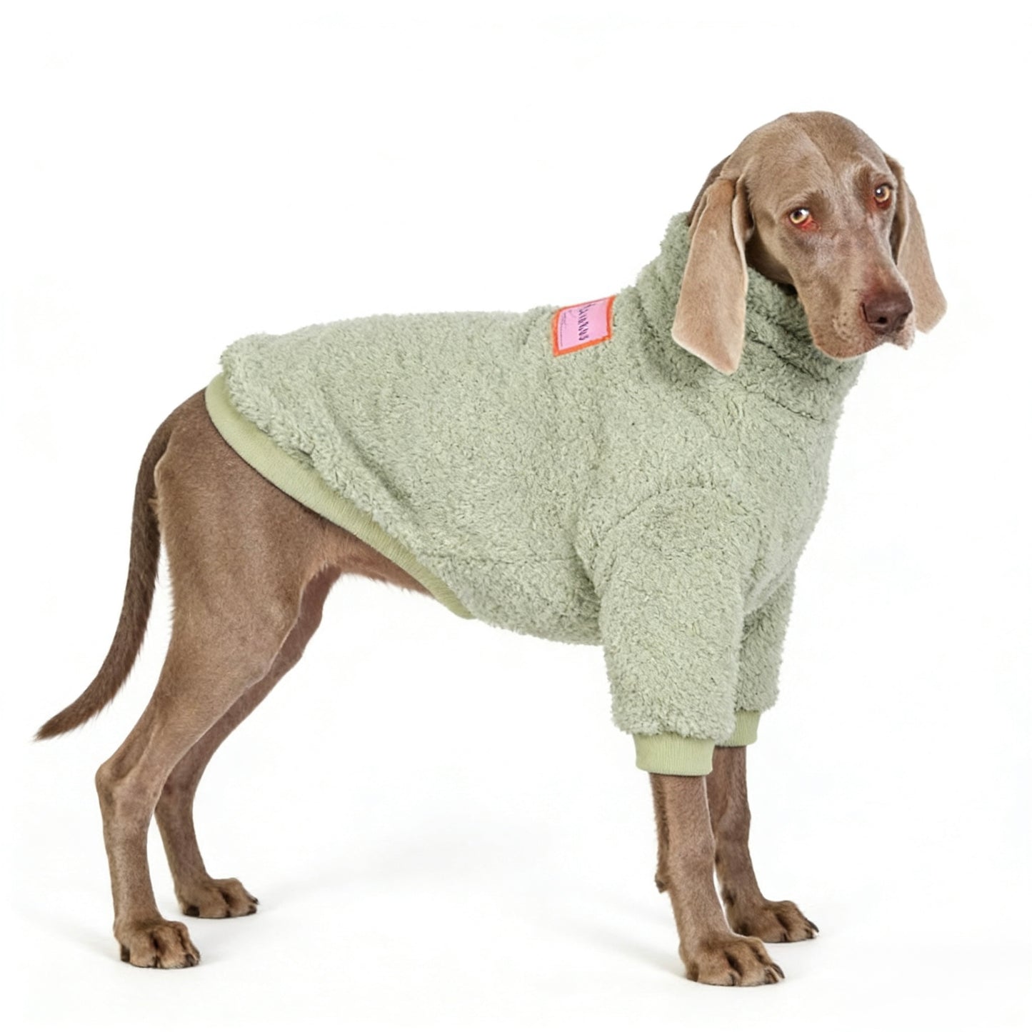 Cozy Fleece Turtleneck