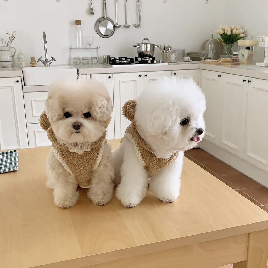 Warm Winter Cape for Small and Medium Dogs - Thickened Pet Cloak Shawl