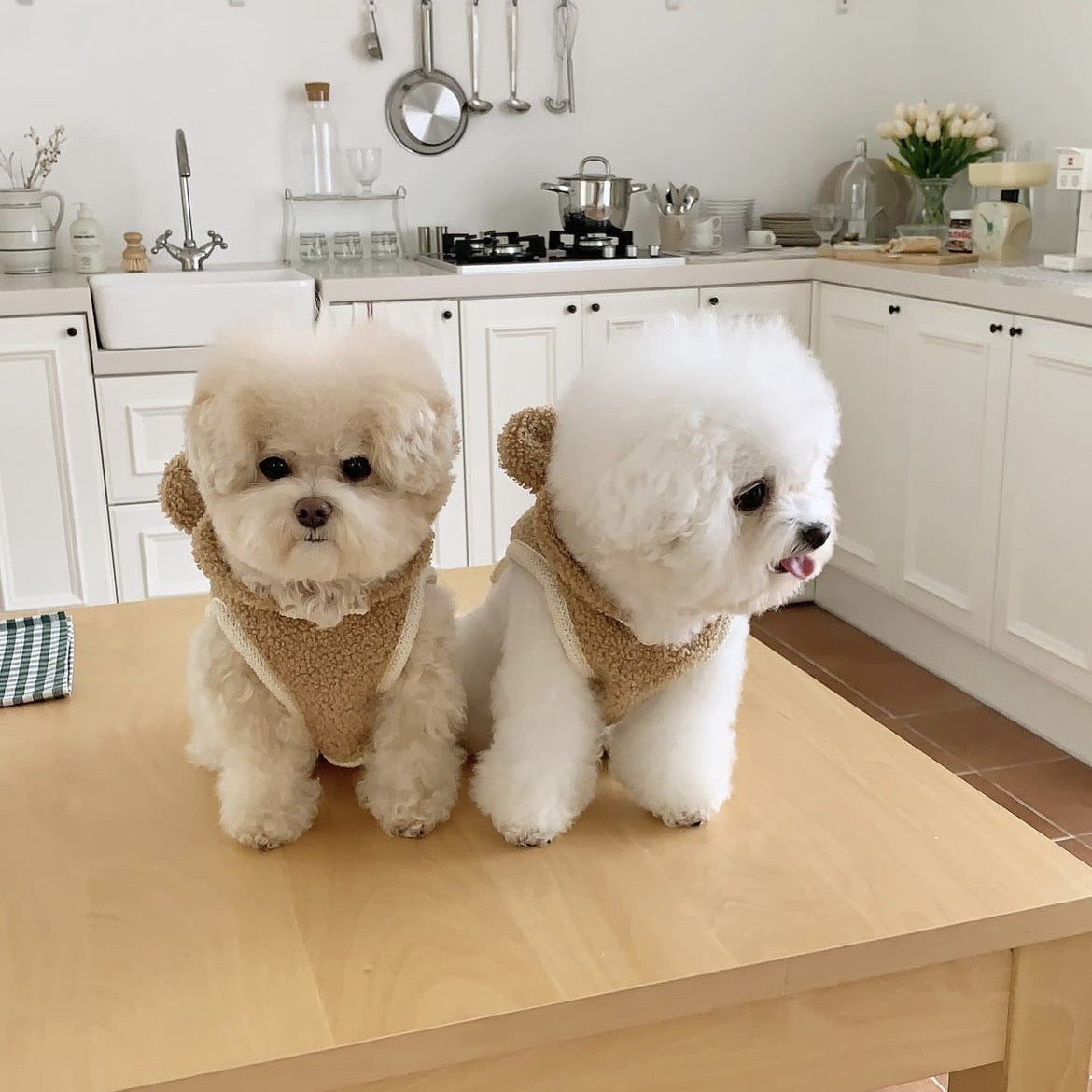 Warm Winter Cape for Small and Medium Dogs - Thickened Pet Cloak Shawl