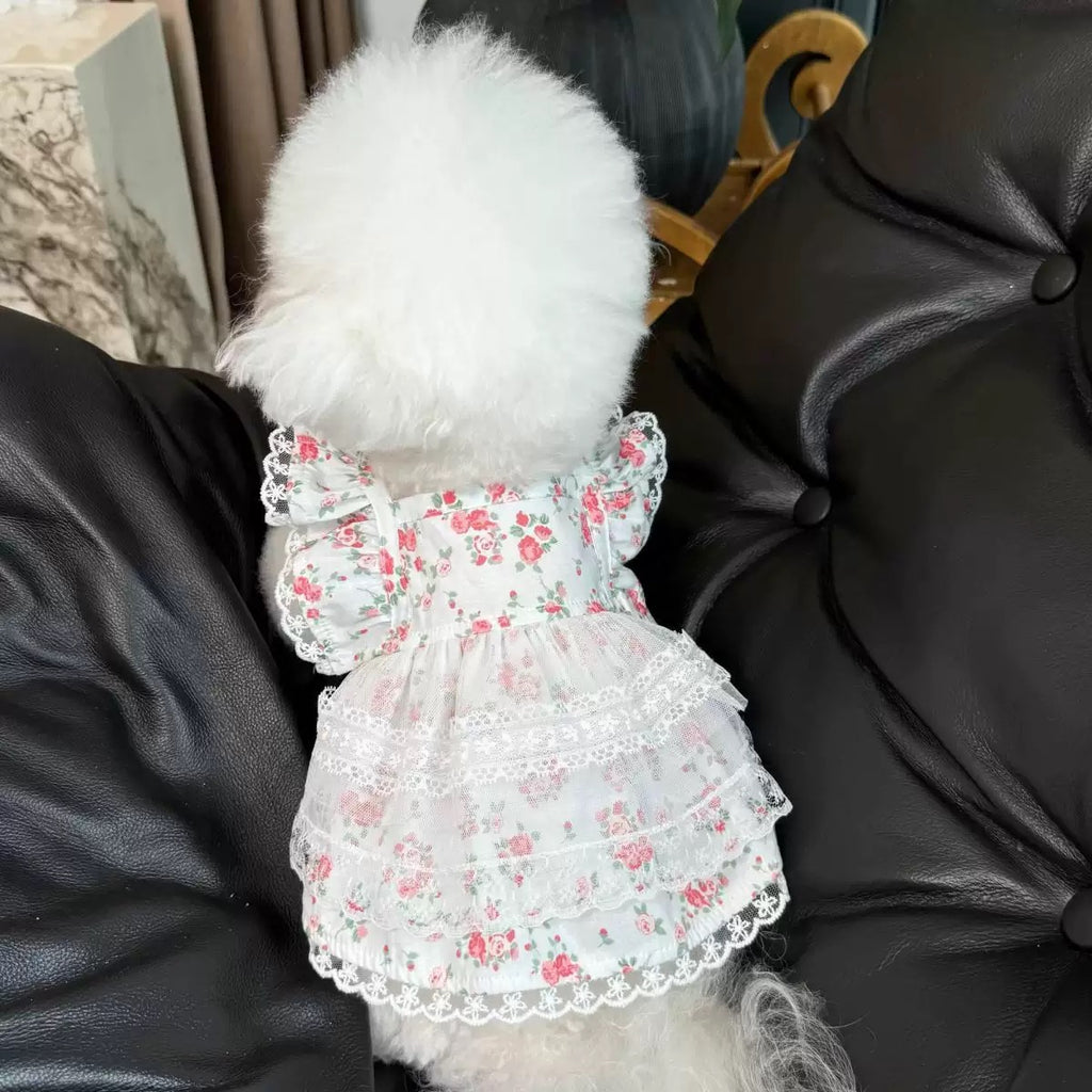 Lightweight and
breathable floral lace dress for small and young dogs.