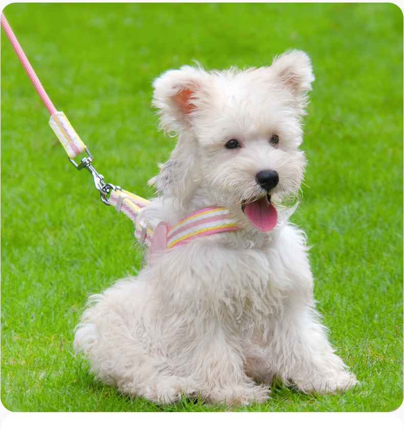 Anti - Pull Lightweight Y - Shaped Dog Harness: Summer Dopamine Vibes