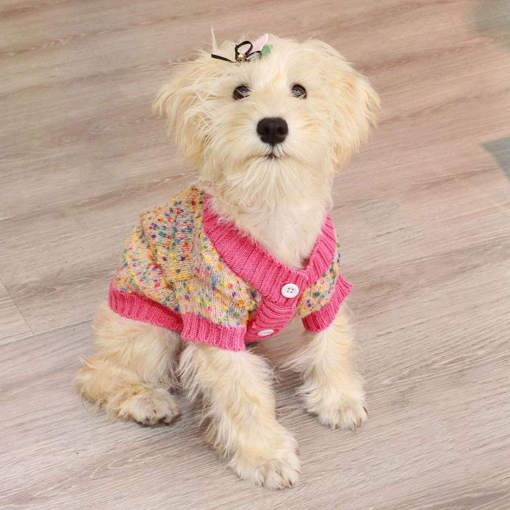Cozy Knit Cardigan for Small/Medium Dogs