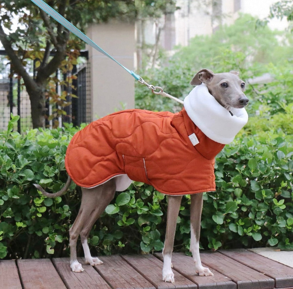 Bedlington & Whippet Winter Defender Jacket