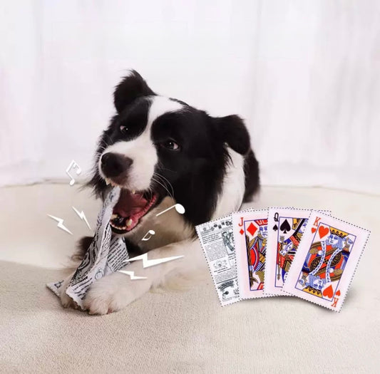 Squeaky Dog Toy - Bite-Resistant Newspaper
Design for Pets