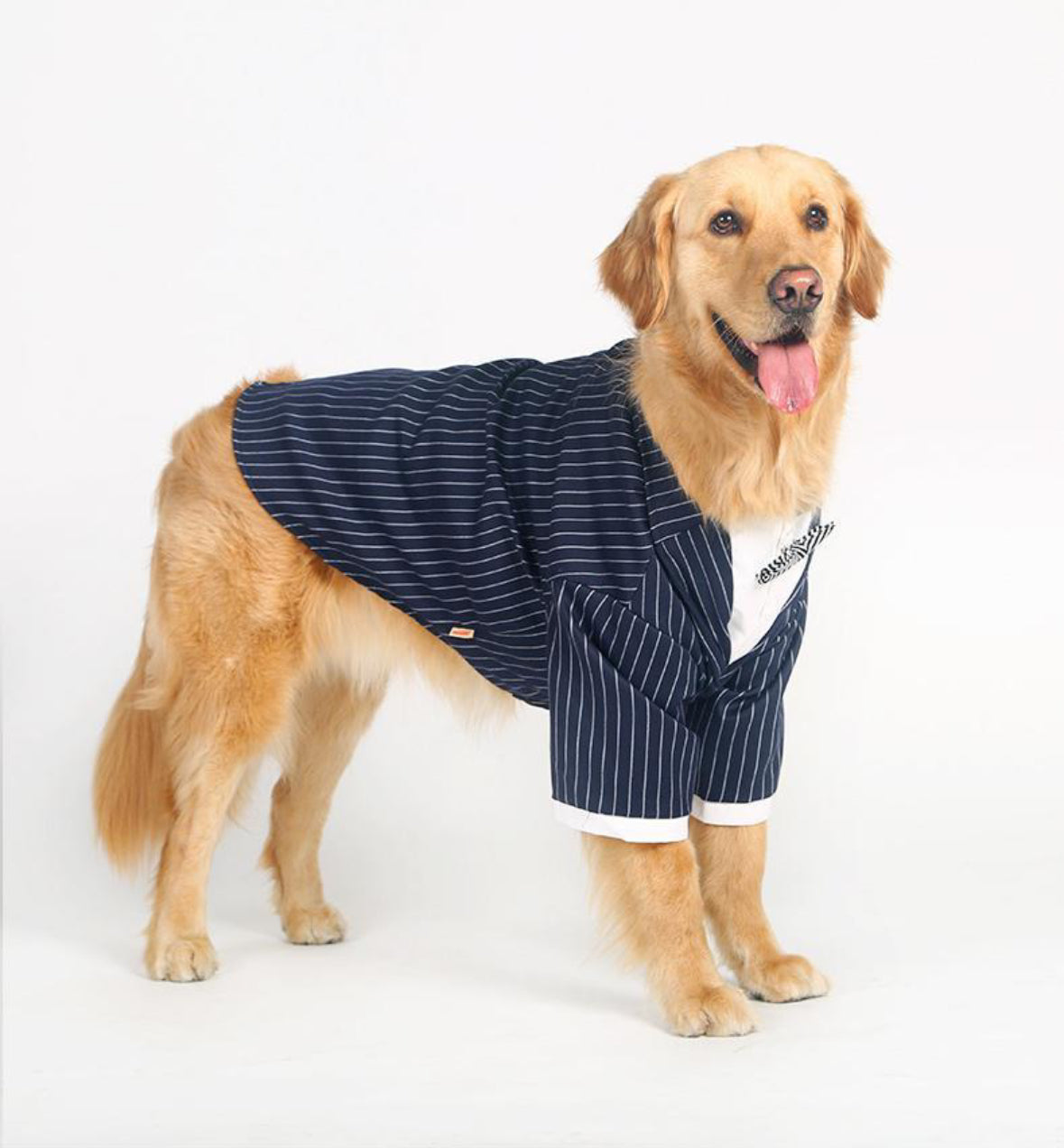 Medium and large dog striped bow tie suit clothes