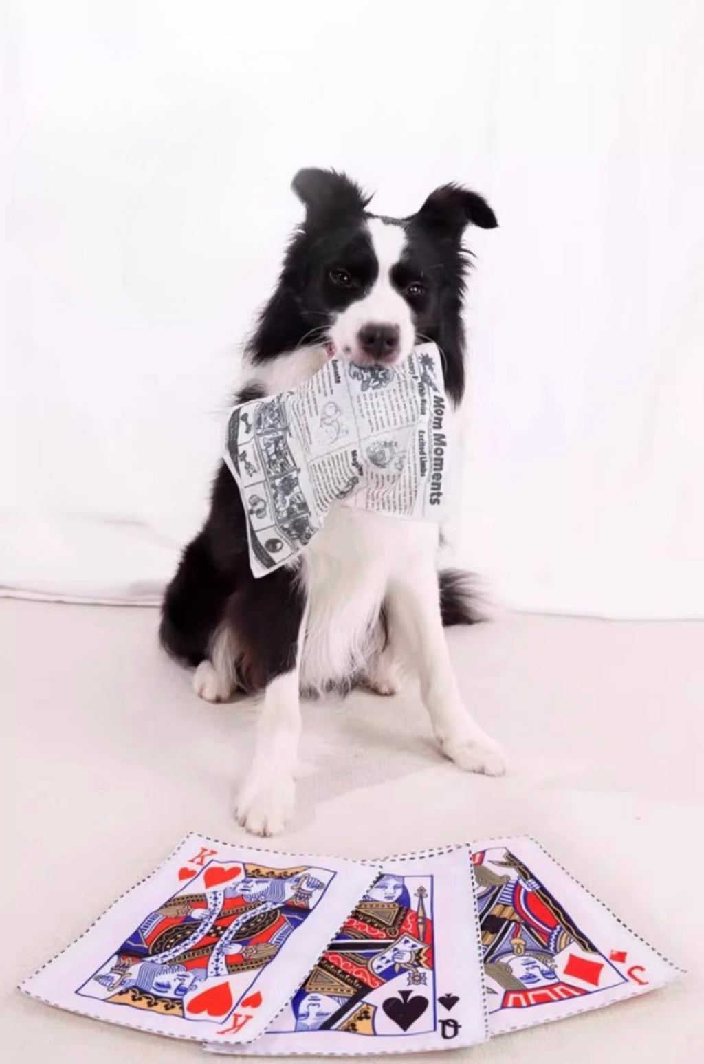 Squeaky Dog Toy - Bite-Resistant Newspaper
Design for Pets