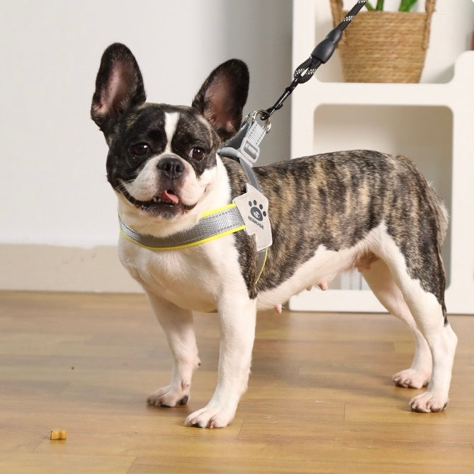 Y-Shaped Breathable
Padded Dog Harness with Leash