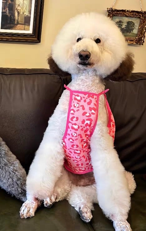 Lightweight Leopard-Print Pet Camisole