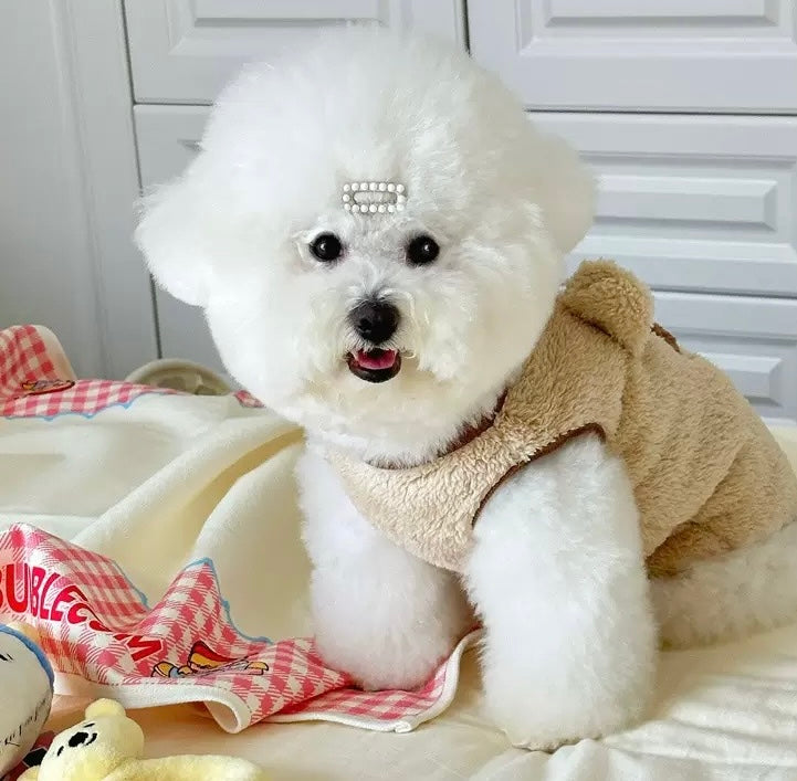 Winter Fleece Lined Warm Teddy Bear Outfit for Dogs Cute Pet Clothing