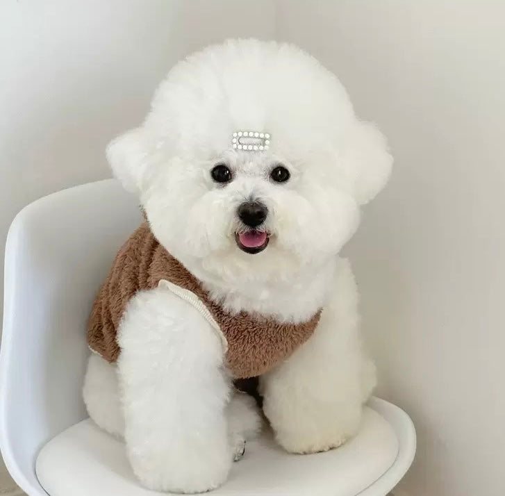 Winter Fleece Lined Warm Teddy Bear Outfit for Dogs Cute Pet Clothing