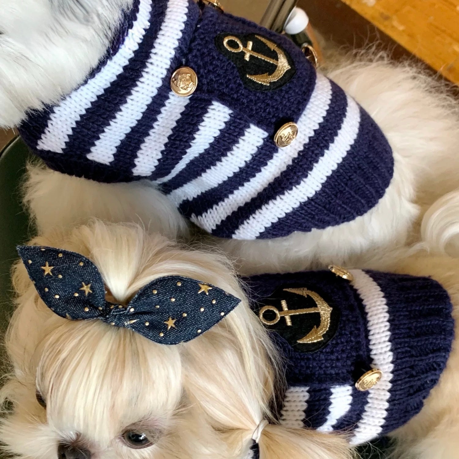 Navy striped sweater suitable for small dogs