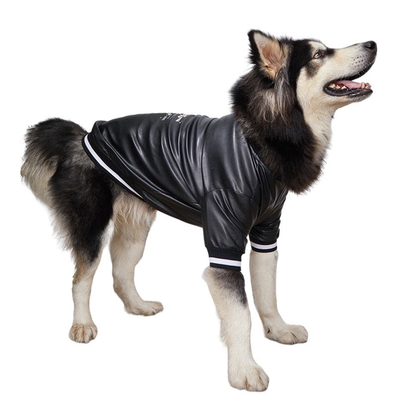 Thick Padded Waterproof Leather Dog Jacket - Warm Winter Coat for Small, Medium, and Large Dogs
