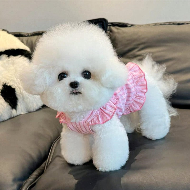 Lightweight Striped
Sundress with Large Bow for Small Dogs