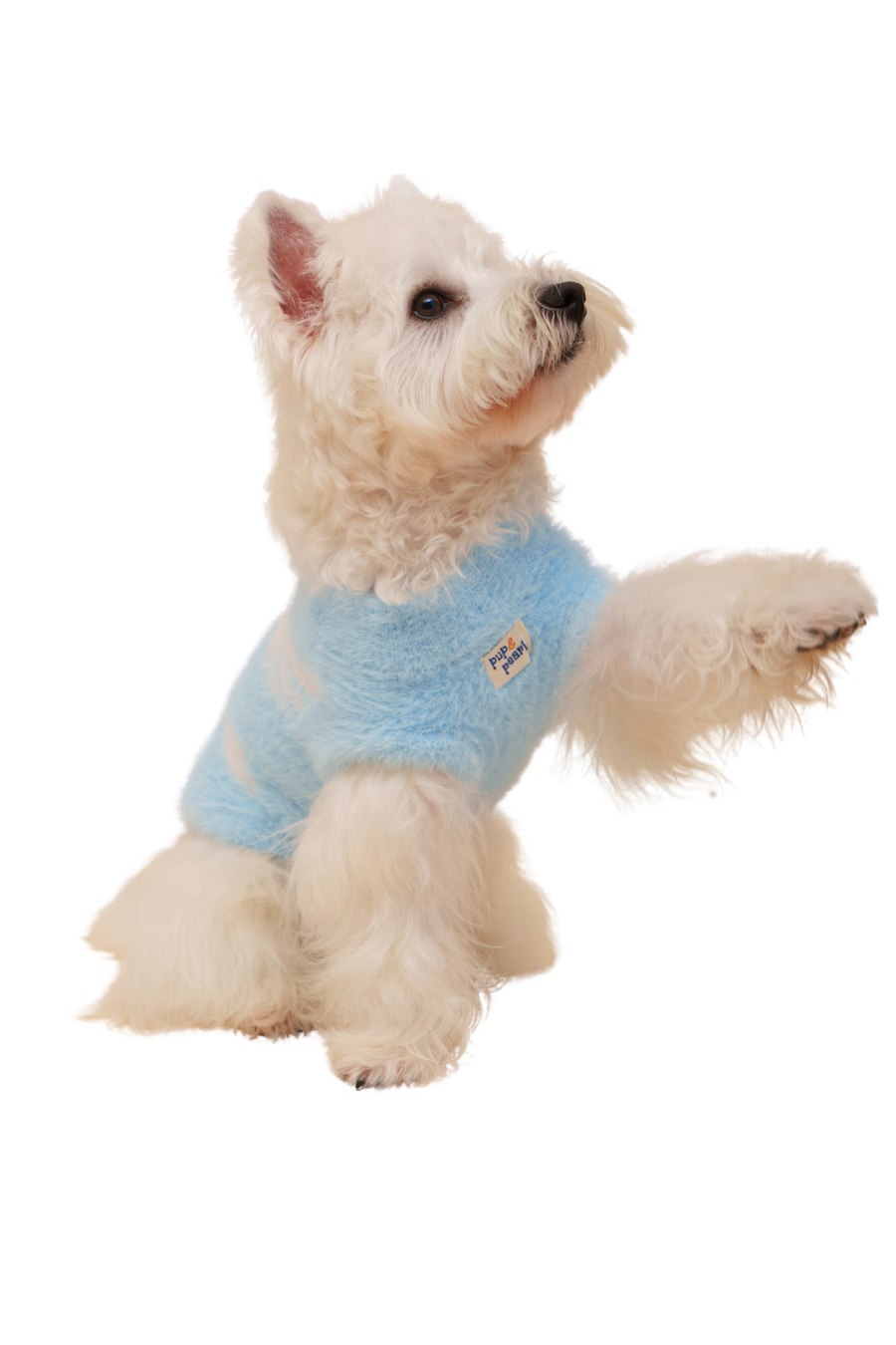 Angel Sweater